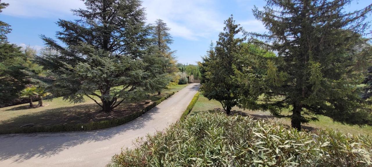 Villa Liberty Entraigues-sur-la-Sorgue Exterior foto